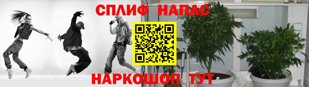 Каннабис тримм  Бошки Шишки планчик  Канабис гибрид  Трёхгорный  Вход с VPN 